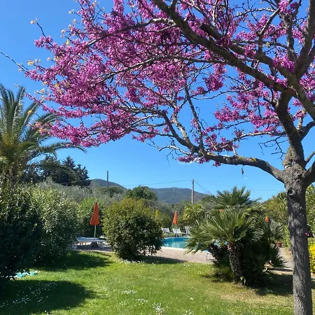 Casa Maremma “peonia” Apartment